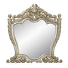 ACME Danae Champagne & Gold Mirror Model BD01236