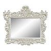 ACME Adara Antique White Mirror Model BD01250