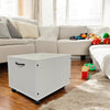 ACME Aurea Cherry Oak & White 2 Toy Boxes-Optional Model BD01410