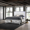 ACME Haiden LED & White Queen Bed with Storage Model BD01425Q