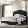 ACME Zeena Black Velvet Full Bed Model BD01461F