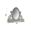 ACME Flora Gray Jewelry Mirror Model BD02206