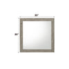 ACME Mari Light Gray Mirror Model BD04144