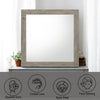 ACME Mari Light Gray Mirror Model BD04144