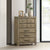 ACME Colton Antique White Oak Chest Model BD05296