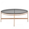 Modrest Bradford Modern Smoked Glass & Rosegold Coffee Table Model VGEWCT1011-3AA-CT