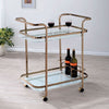 Furniture of America Tiana Champagne Contemporary Serving Cart Model CM-AC235