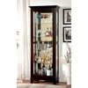 Furniture of America Ludden Dark Walnut Contemporary Curio Model CM-CR135