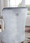 Furniture of America Adalia Silver/Dark Gray Glam Chair (2/Ctn) Model CM3241GY-SC-2PK