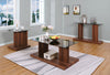 Furniture of America Mannedorf Black/Dark Walnut Contemporary Coffee Table Model CM4567A-C