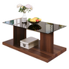 Furniture of America Mannedorf Black/Dark Walnut Contemporary Coffee Table Model CM4567A-C
