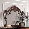 Furniture of America Rosewood Antique Dark Oak Traditional Mirror Model CM7183M