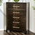Furniture of America Berenice Espresso Transitional Chest Model CM7580EX-C