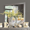 Furniture of America Berenice Gray Transitional Mirror Model CM7580GY-M