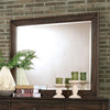 Furniture of America Agapetos Walnut Transitional Mirror Model CM7581M