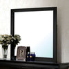Furniture of America Louis Philippe Black Transitional Mirror Model CM7866BK-M