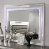 Furniture of America Brachium Silver Contemporary Mirror Model CM7977SV-M