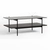Modrest Conley Mid Century Modern Grey Glass & Black Ash Coffee Table Model VGDWJ5934