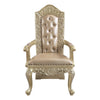ACME Vatican Synthetic Leather & Champagne Silver Arm Chair (Set-2) Model DN00469