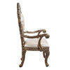 ACME Constantine Synthetic Leather Brown & Gold Arm Chair (Set-2) Model DN00479