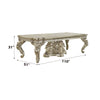 ACME Danae Champagne & Gold Dining Table Model DN01197