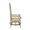 ACME Danae Synthetic Leather Champagne & Gold Arm Chair (Set-2) Model DN01199