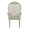 ACME Bently Fabric & Champagne Arm Chair (Set-2) Model DN01370