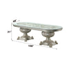 ACME Sandoval Champagne Dining Table Model DN01494