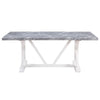 ACME Hollyn Engineered Stone & White Dining Table Model DN02159