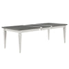 ACME Katia Gray & Weathered White Dining Table Model DN02273