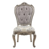 ACME Ariadne Velvet & Antique Plantinum Side Chair (Set-2) Model DN02282
