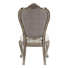 ACME Ariadne Velvet & Antique Plantinum Side Chair (Set-2) Model DN02282