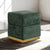 Furniture of America Krysten Green Contemporary Storage Stool Model FM-AC8005GR