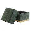 Furniture of America Krysten Green Contemporary Storage Stool Model FM-AC8005GR