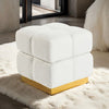 Furniture of America Aileen Beige Contemporary Storage Stool Model FM-AC8006WH
