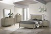 Furniture of America Rainier Gray Contemporary Chest Model FM72002GY-C