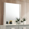 Furniture of America Lincolt White Wash/Stone Gray Contemporary Mirror Model FM7201WH-M
