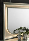 Furniture of America Sheridan Silver Contemporary Mirror Model FM72080SV-M