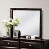 Furniture of America Zosimo Black Transitional Mirror Model FM7210BK-M