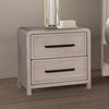 Furniture of America Belize Gray Modern Nightstand Model FM79016AK-N