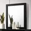 Furniture of America Magdeburg Black Contemporary Mirror Model FOA7038BK-M