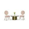 Modrest Haswell Glam Pink Velvet Accent Chair (Set Of Two) Model VGMFMC-479-PK-CH