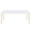 ACME Otrac White & Gold Coffee Table Model LV00034