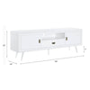 ACME Pagan White High Gloss TV Stand Model LV00745