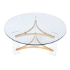 ACME Sosi Gold Coffee Table Model LV01083