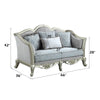 ACME Qunsia Light Gray Linen & Champagne Loveseat with 4 Pillows Model LV01118
