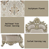 ACME Danae Fabric Champagne & Gold Loveseat with 5 Pillows Model LV01194