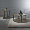 ACME Aditya Mirrored & Antique Brass Coffee Table Model LV02735