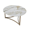 ACME Aziz Sintered Stone Top & Champagne Coffee Table Model LV02825
