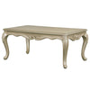 ACME Libertee Champagne Coffee Table Model LV03825
